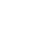 logo item