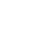 logo item